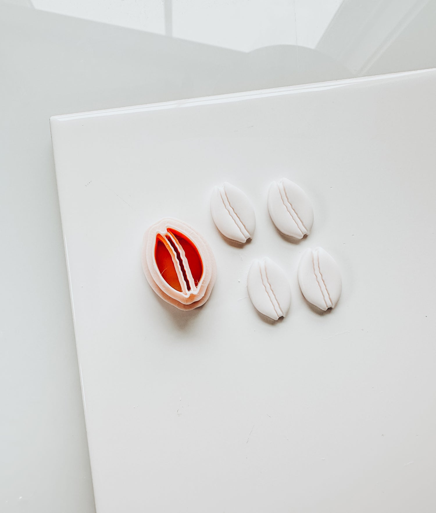 Cowrie Beach Shell Embossed Clay Cutter