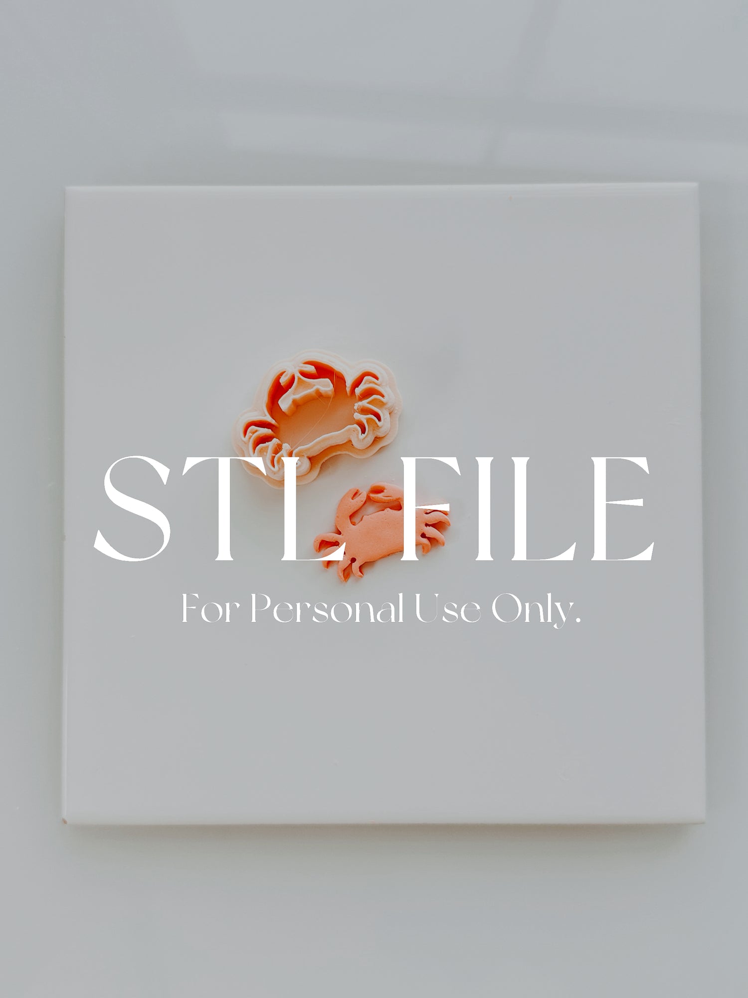 STL File For 3d Printing