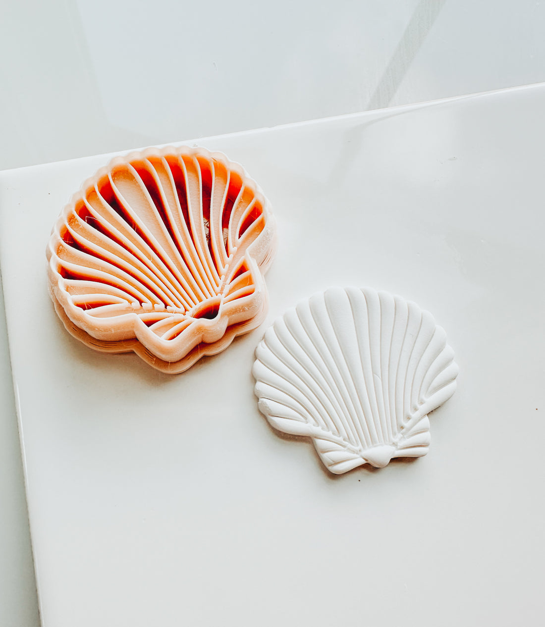 Embossed Calico Sacllop Beach Shell Embossed Clay Cutter