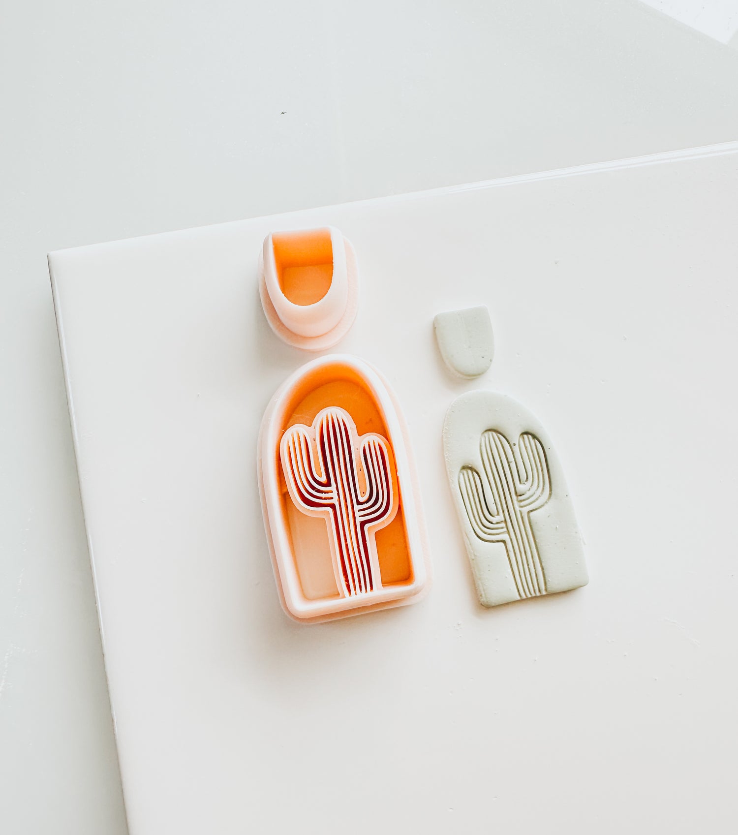 Dessert Cactus Set Clay Cutter