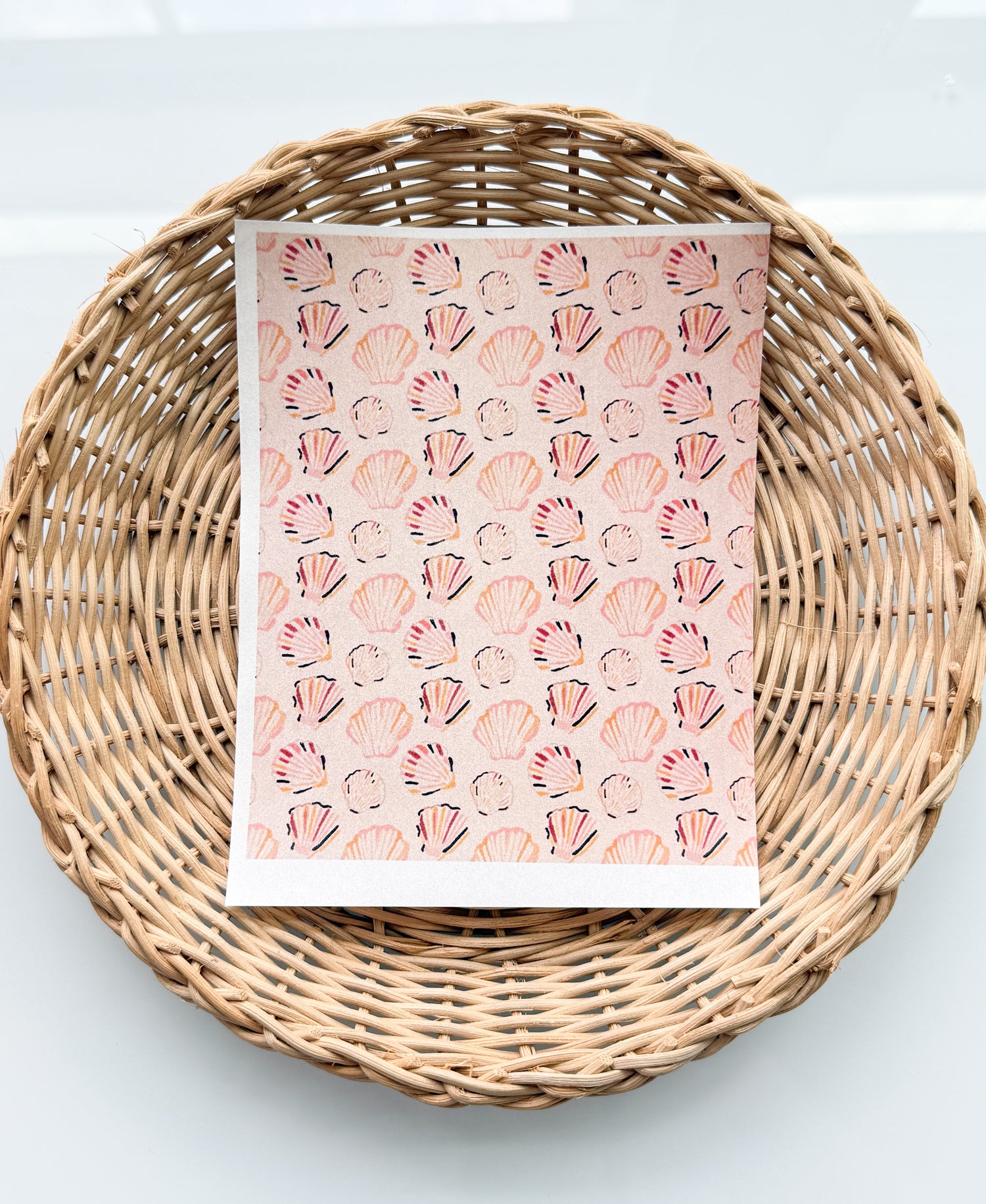Peachy Shells Transfer Paper