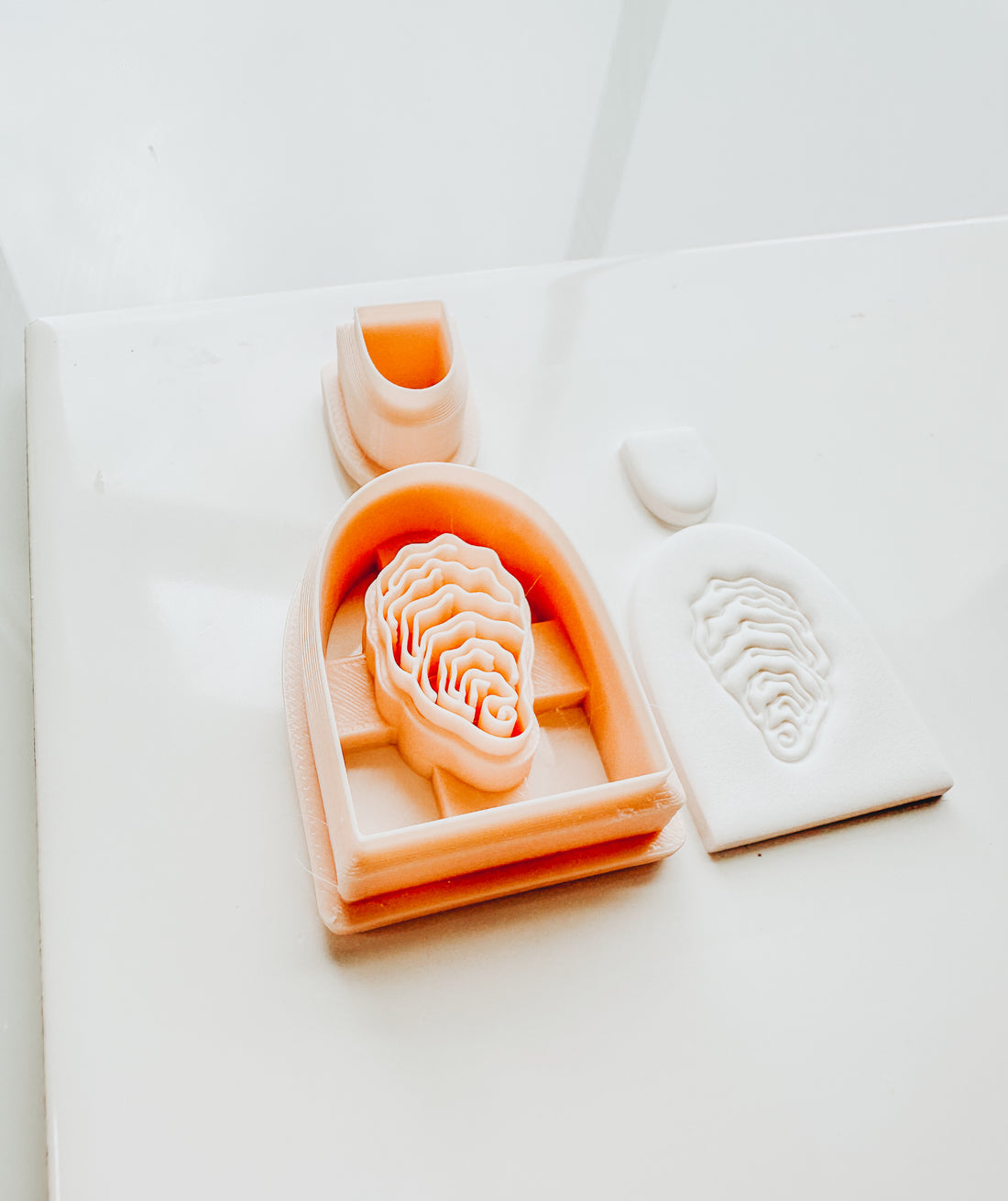 Oyster Arch Embossed Beach Summer Clay Cutter
