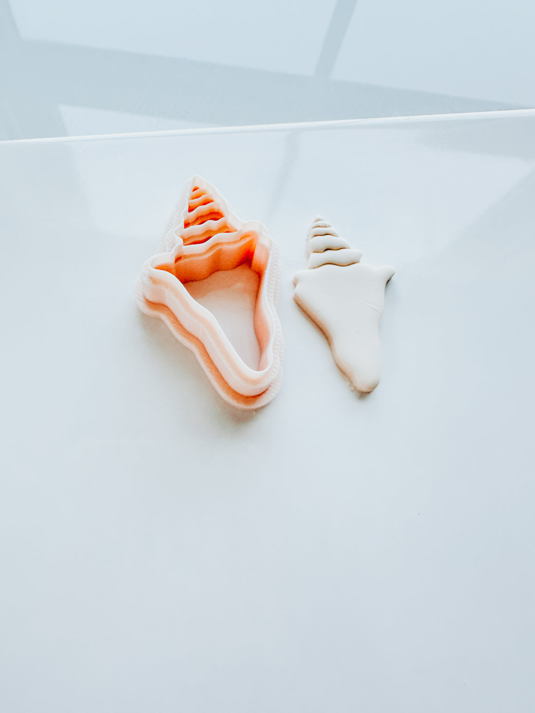 Conch Shell Clay Cutter