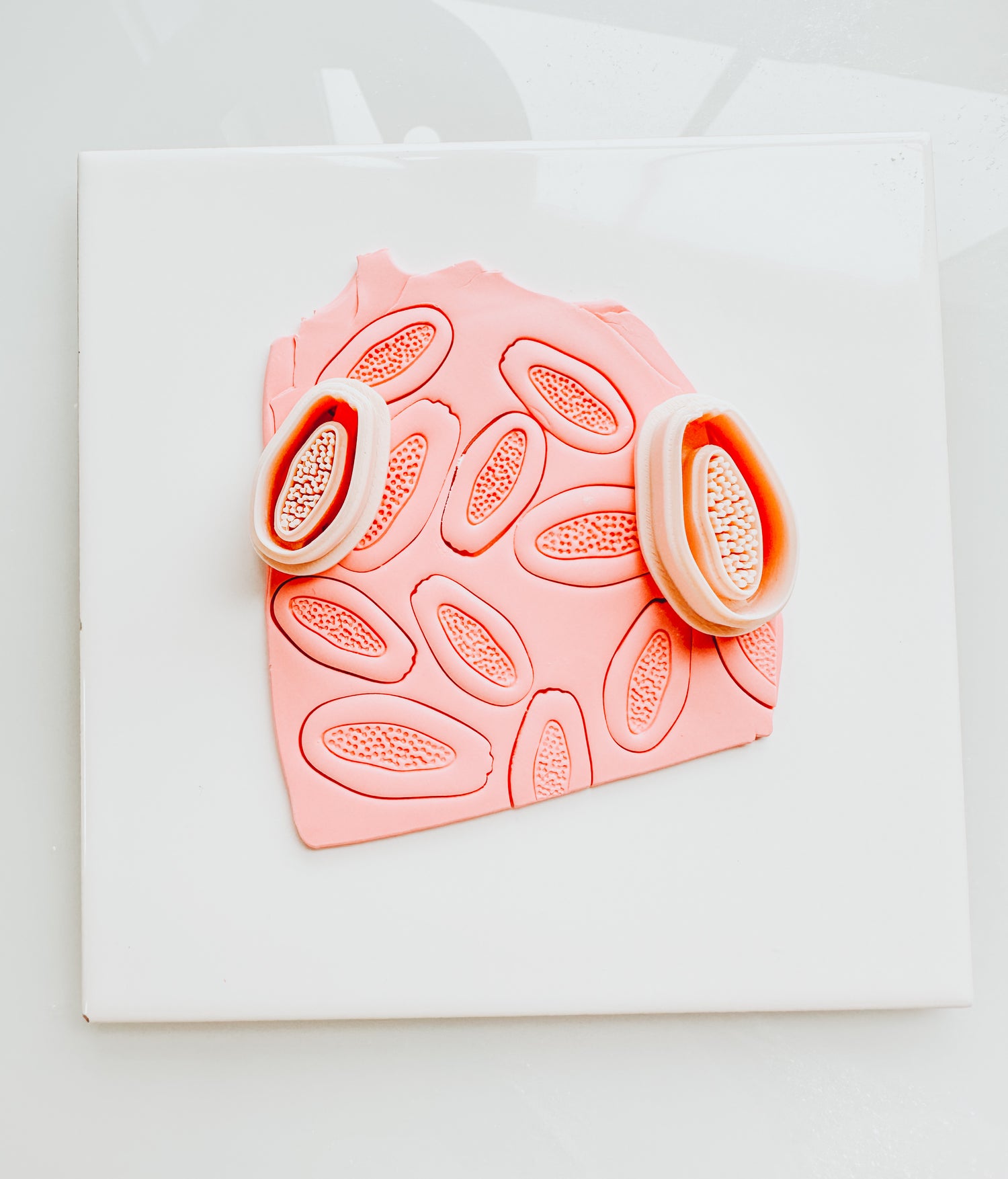 Papaya Clay Cutter