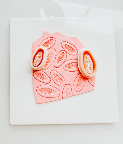 Papaya Clay Cutter