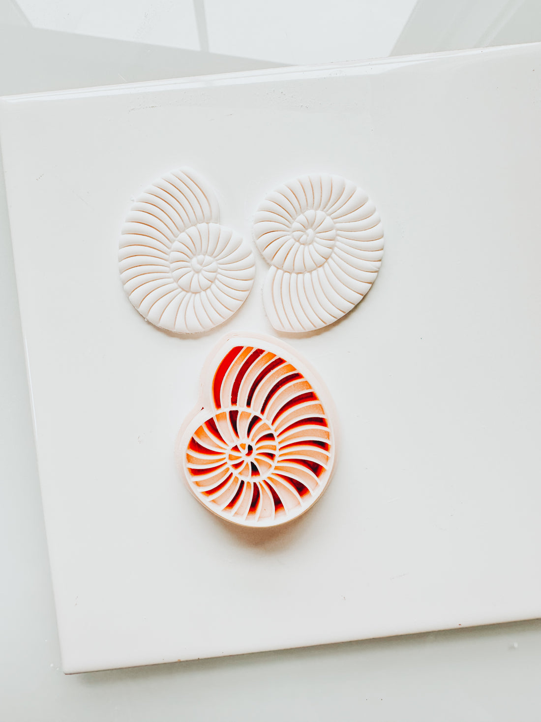 Spiral Beach Shell 1 Embossed Clay Cutter