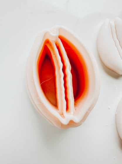 Cowrie Beach Shell Embossed Clay Cutter