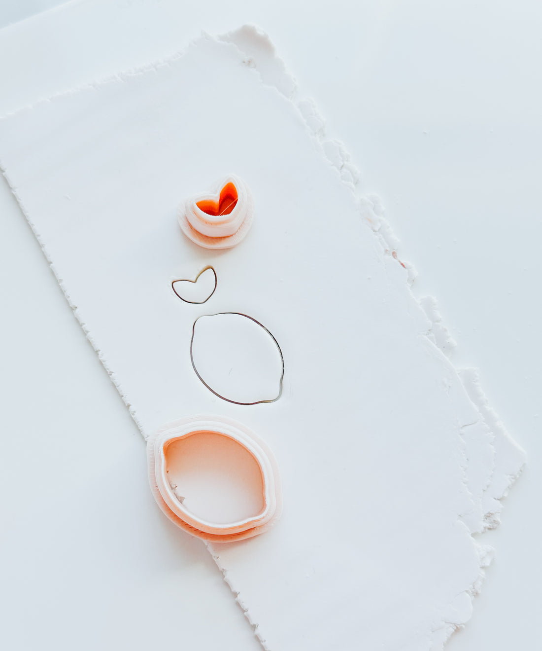 Lemon & Leaf Outline Clay Cutter