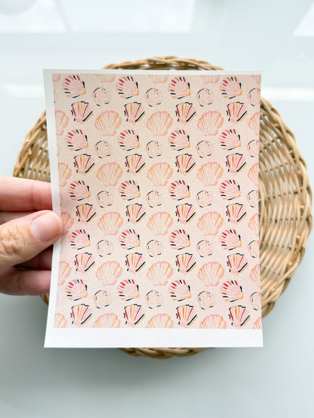 Peachy Shells Transfer Paper