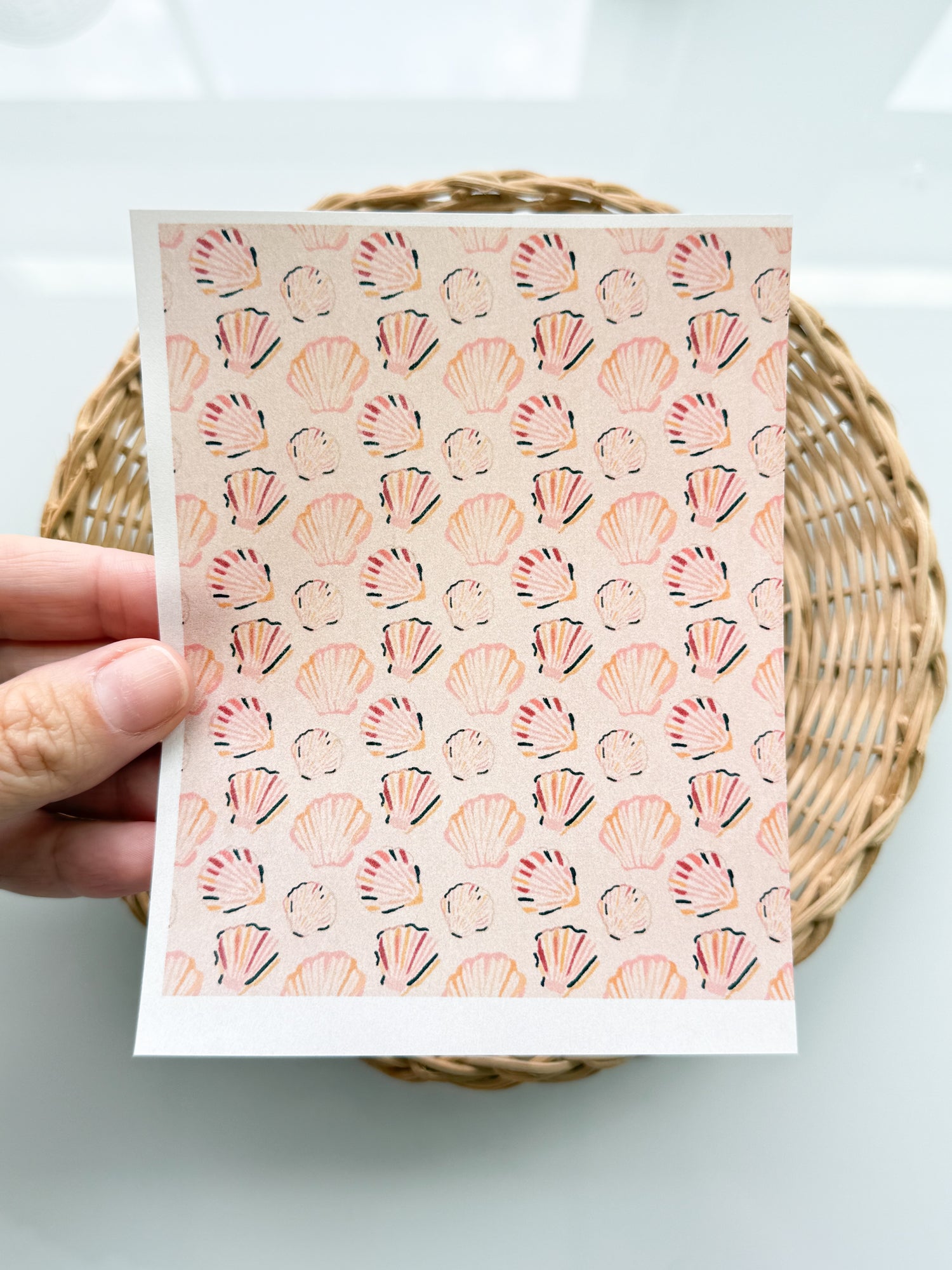 Peachy Shells Transfer Paper
