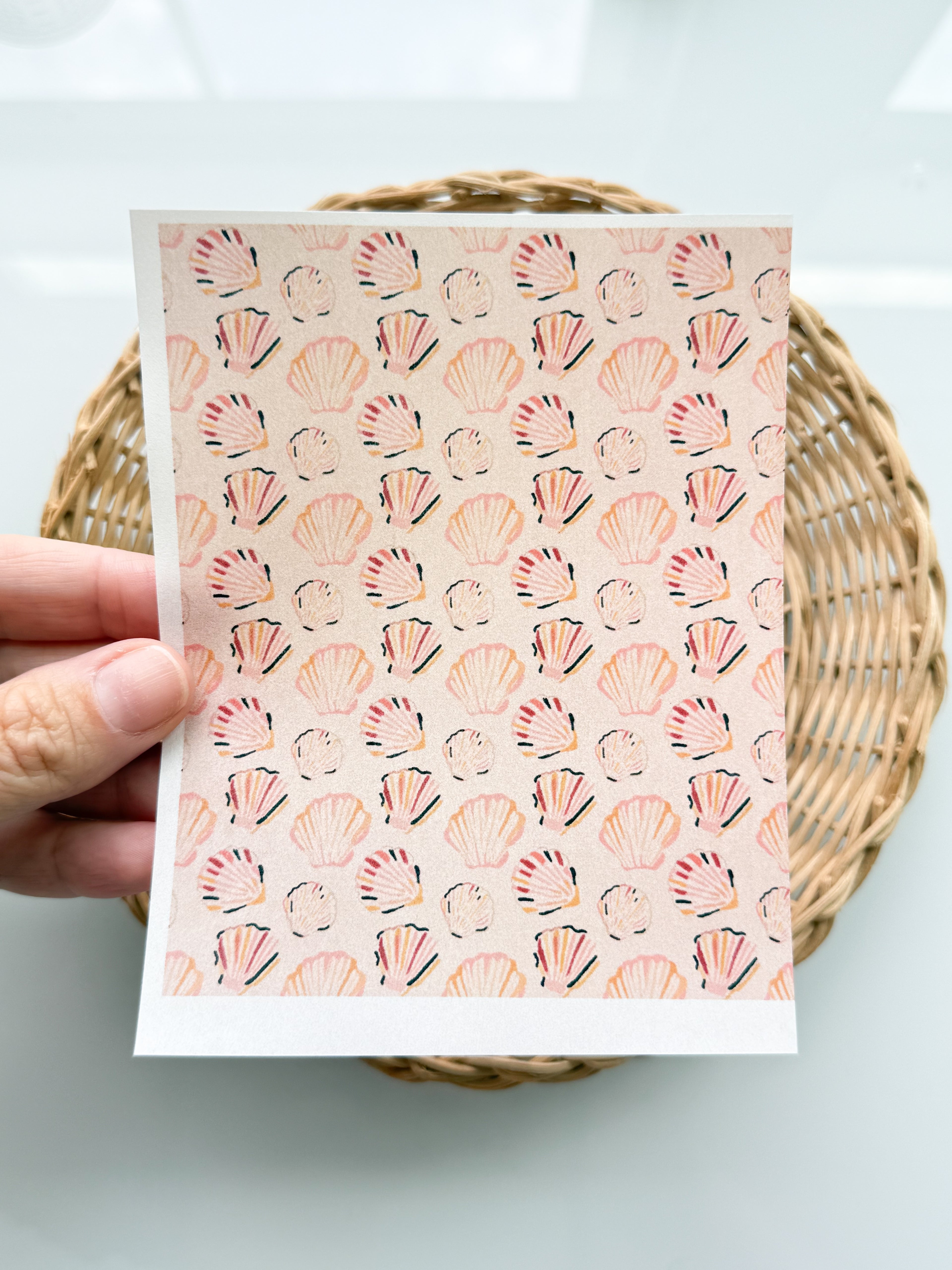 Peachy Shells Transfer Paper