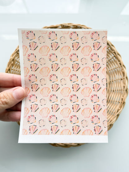 Peachy Shells Transfer Paper