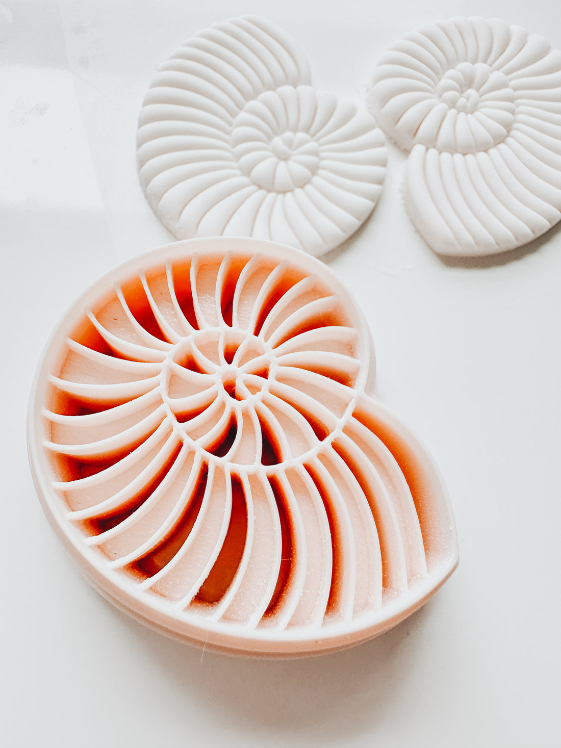 Spiral Beach Shell 1 Embossed Clay Cutter