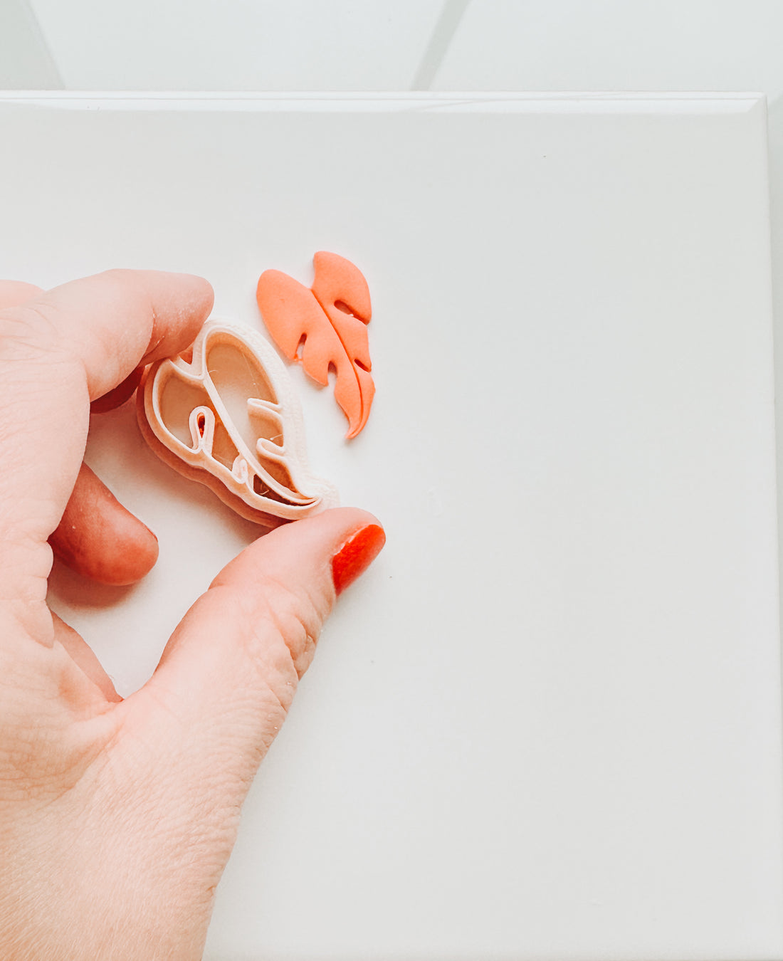 Philodendron Clay Cutter