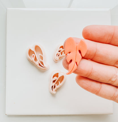 Philodendron Clay Cutter