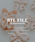 A set of pale pink fondant or clay cutters and cutouts shaped like bows with small floral details, arranged on a clean white background.

A promotional graphic for a digital STL file cutting mold set. The image shows a set of pale pink clay cutters and cutouts shaped like bows with small floral details, arranged on a clean white background, with a dark translucent overlay containing the text &