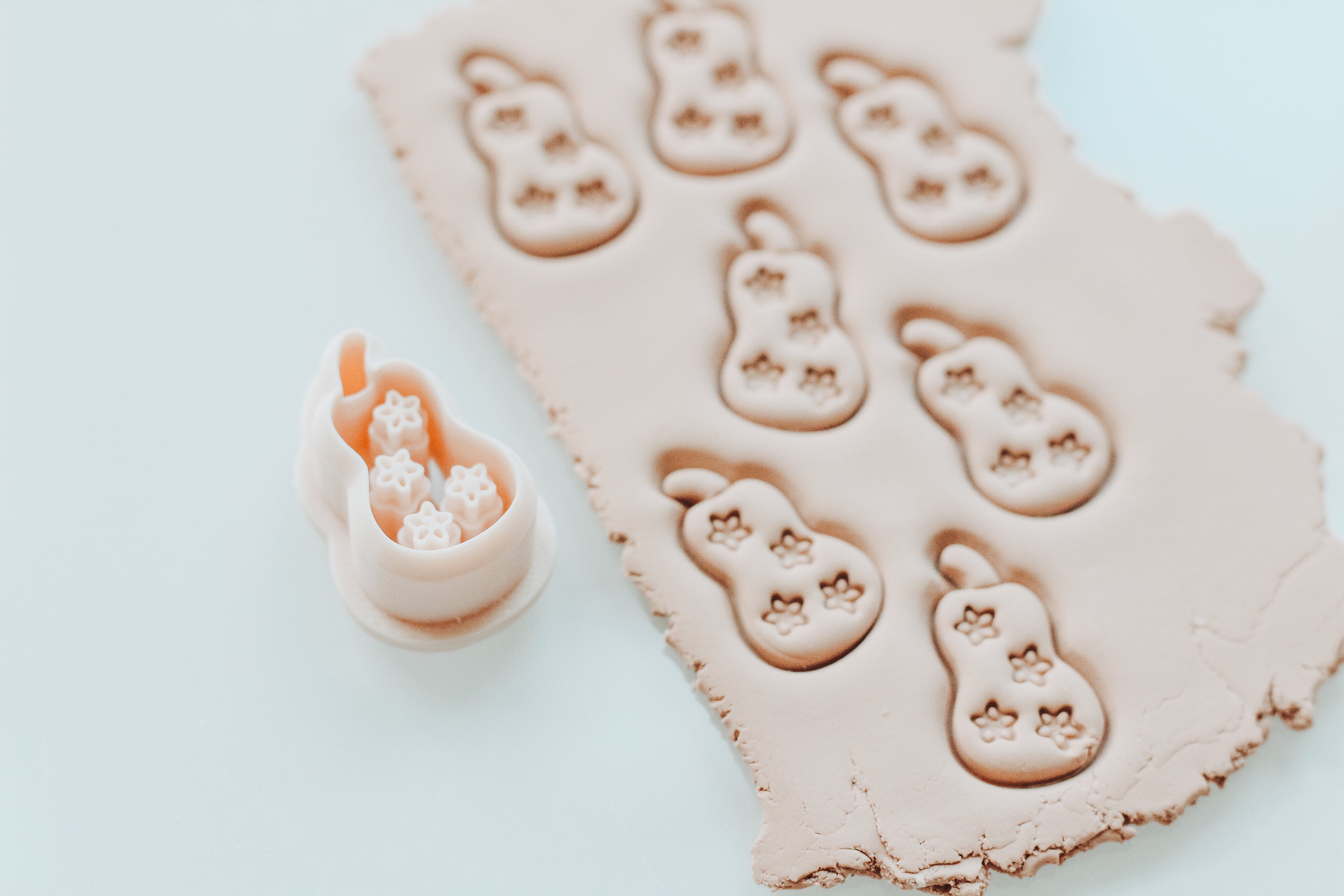 Flora Squash Set Clay Cutters