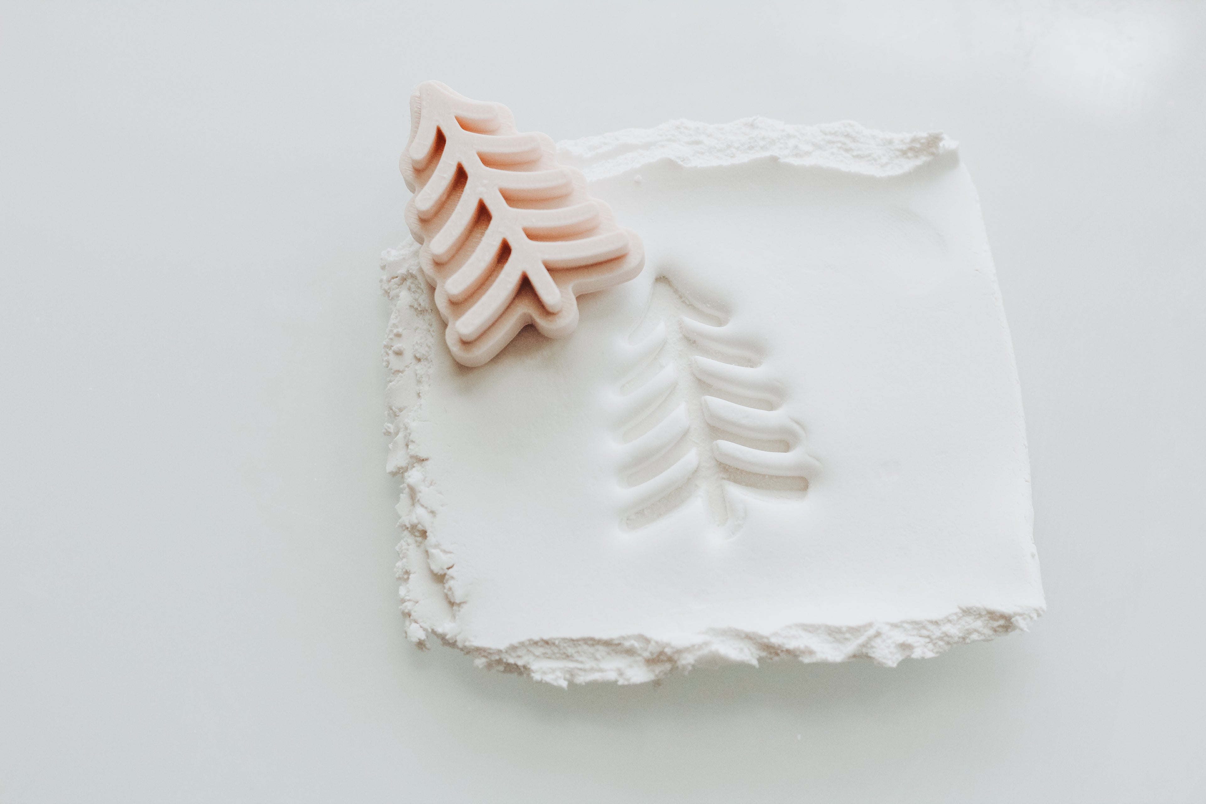 Whispy Winter Tree Stamp For Clay