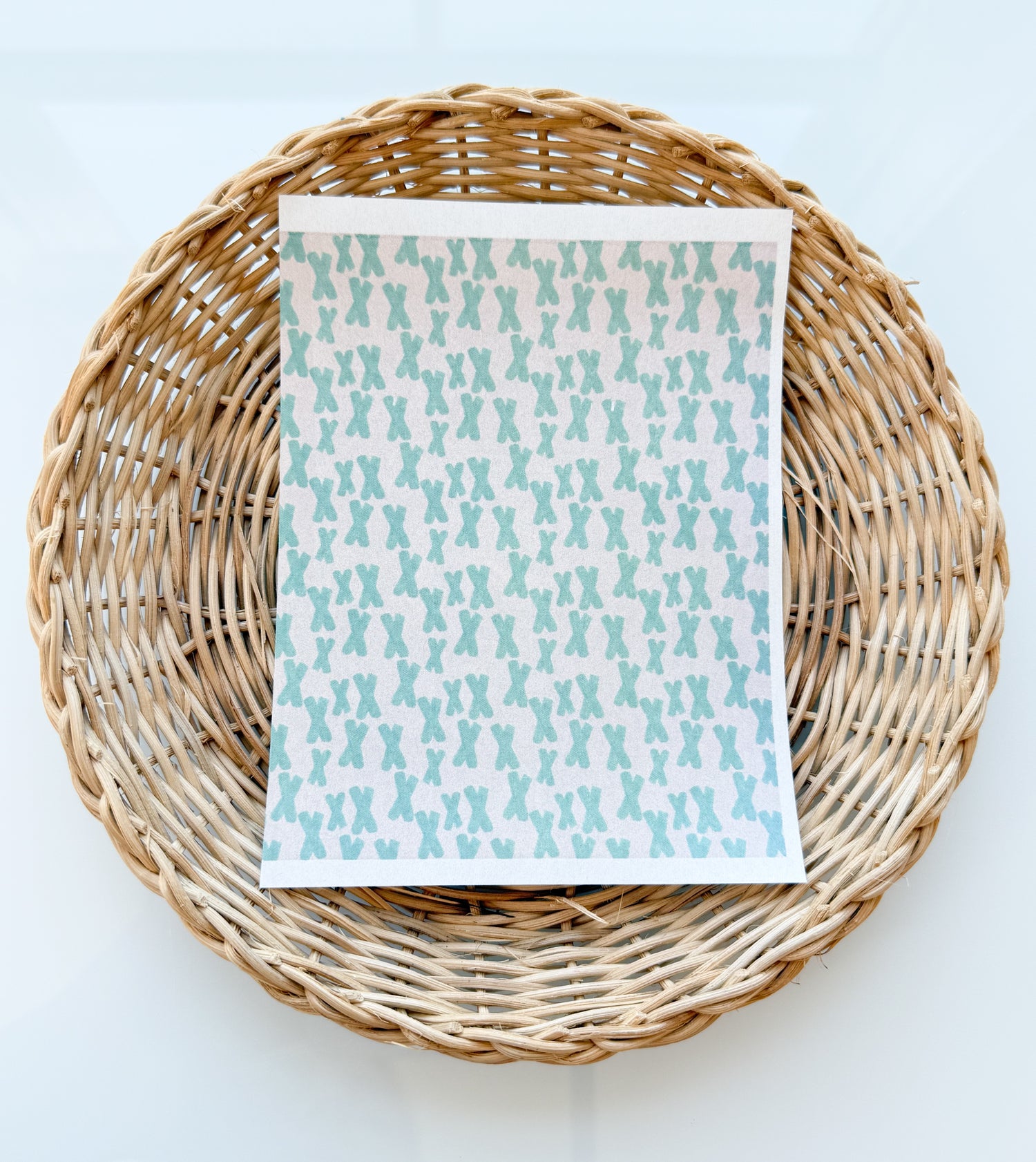 Mint x Clay Transfer Paper