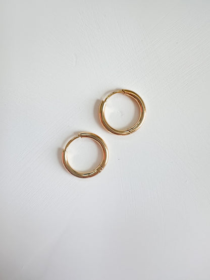 Gold Lever Back Hoops (2 Pieces)