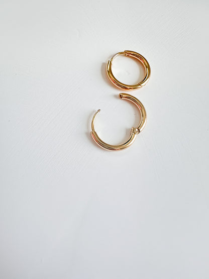 Gold Lever Back Hoops (2 Pieces)