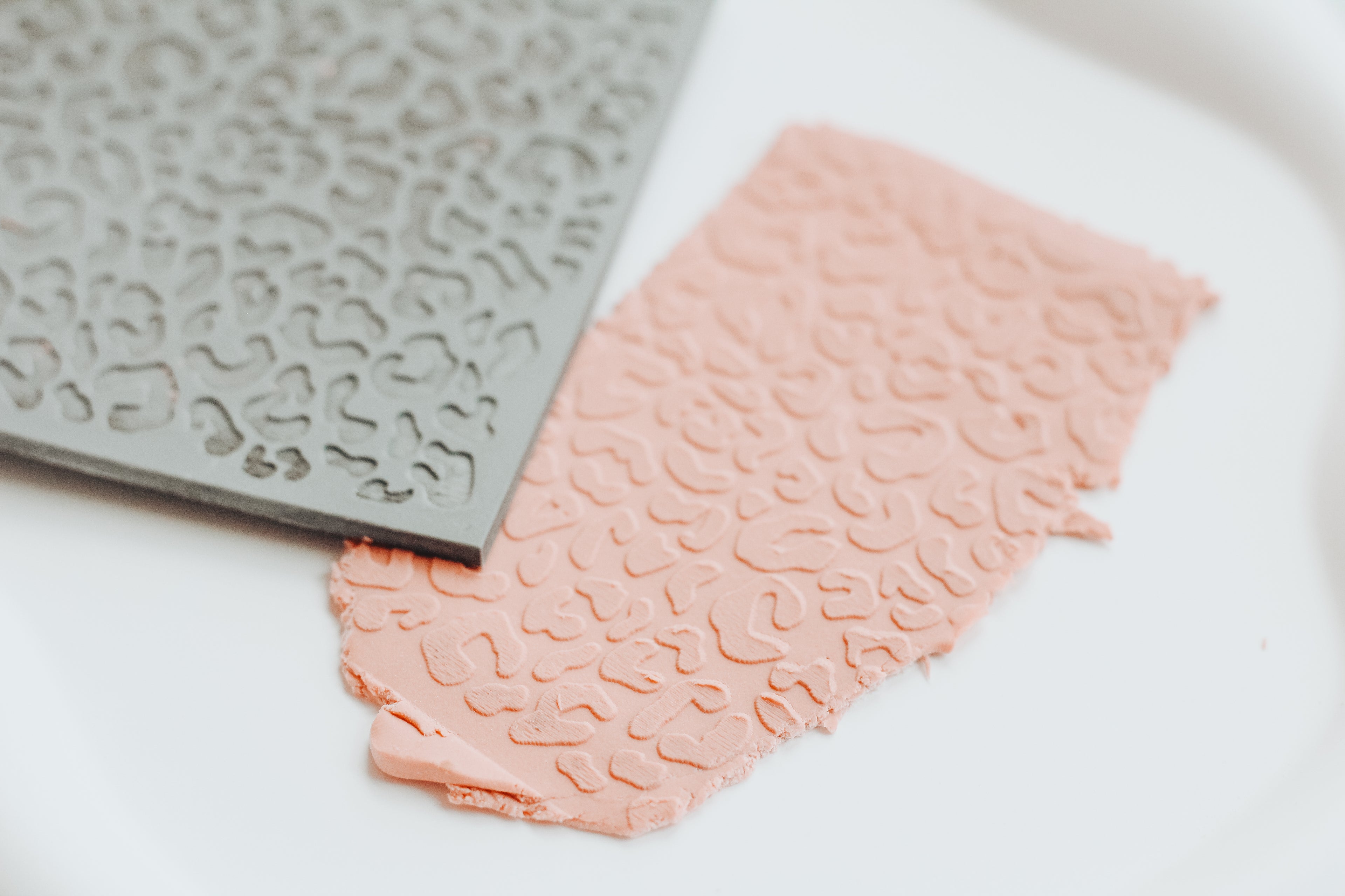 Cheetah Texture Mat