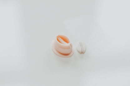 Mini Cowrie Shell Charm Extra Dainty Precision Clay Cutter