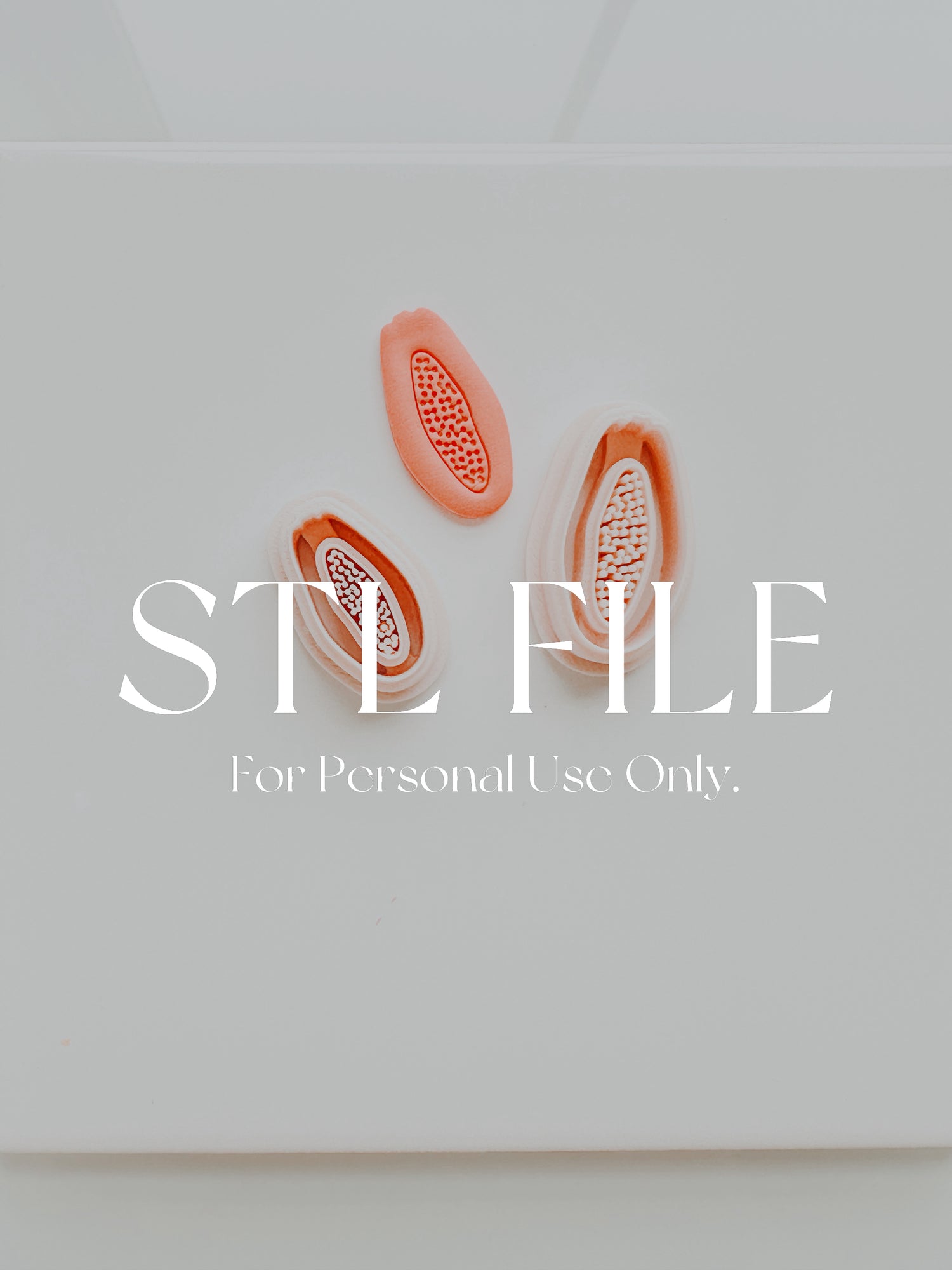 STL File For 3d Printing