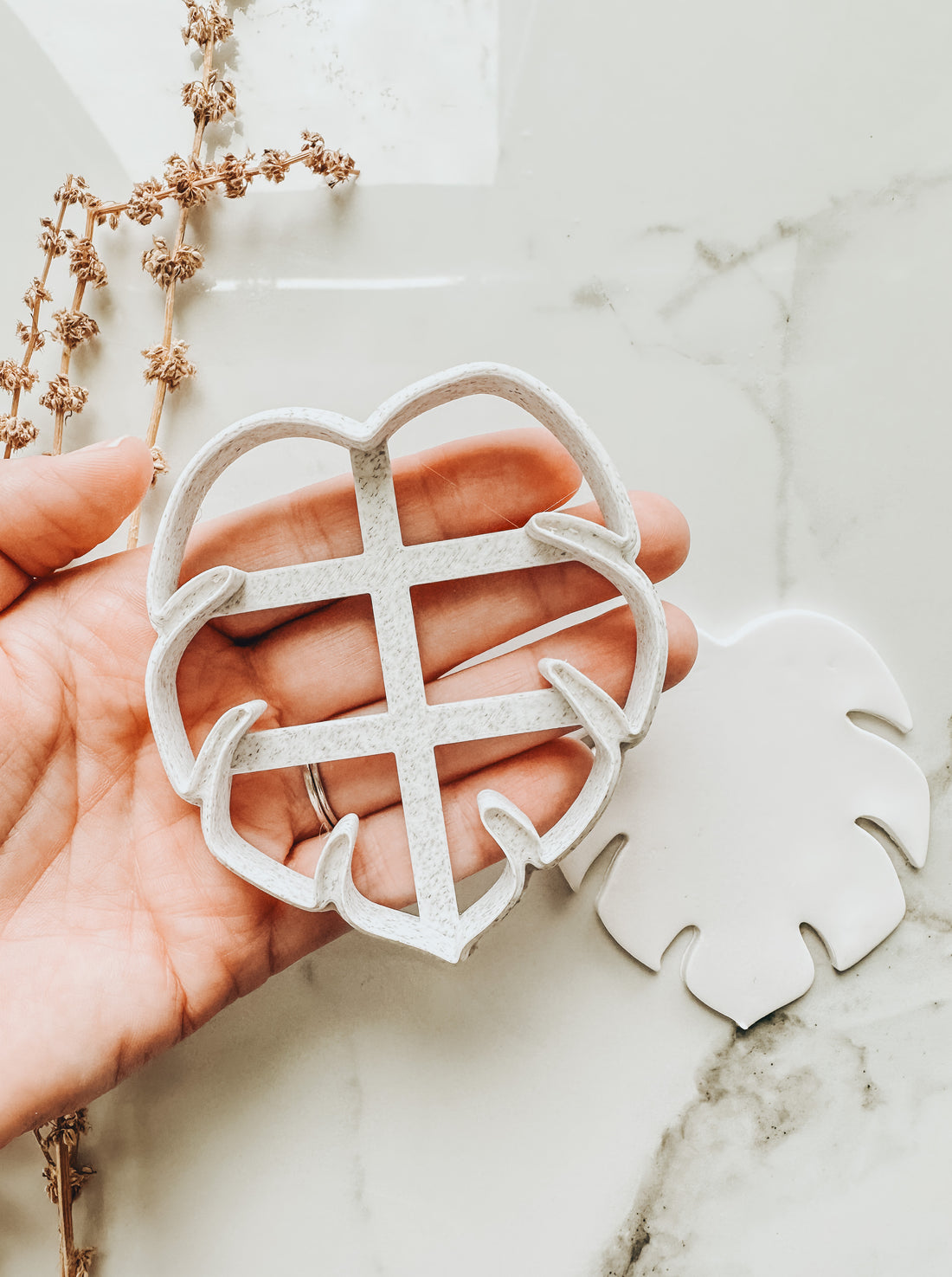 Monstera Trinket Dish